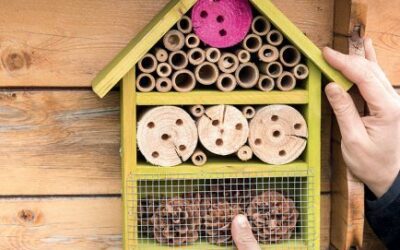 Des élèves de 3èB initient les maternelles à la construction d’hôtels à insectes