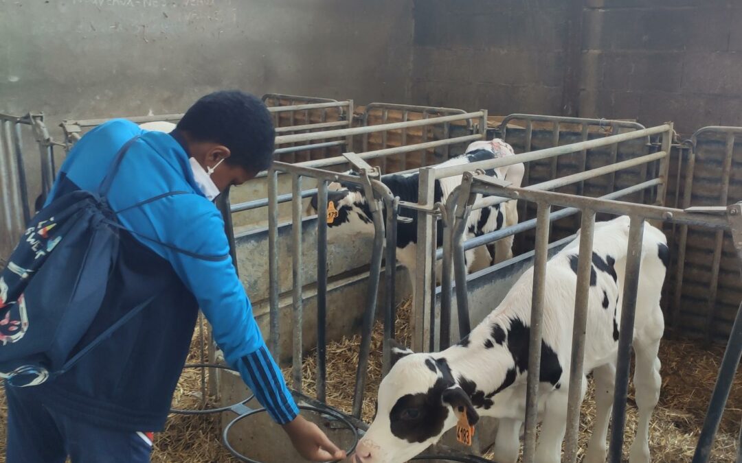 Sortie dans une ferme pédagogique pour les ULIS